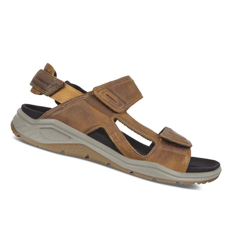 Men\'s Ecco X-trinsic Flat Sandals Brown | USA 592LIS